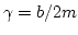 $ \gamma = b/2m$